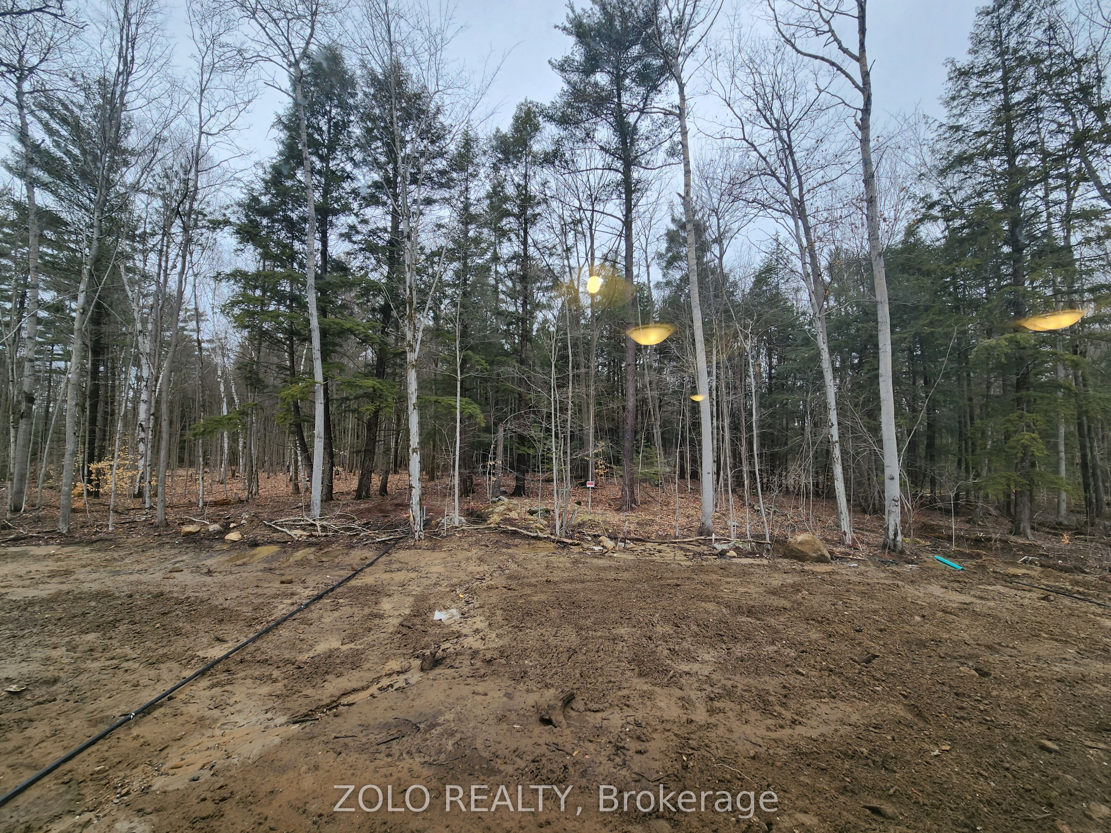 455 Beechwood Forest Lane Property Photo 20