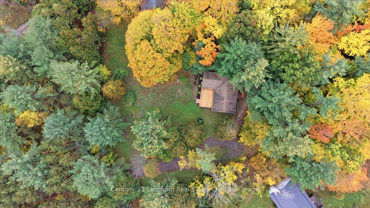 13056 Highway 62 Property Photo 44