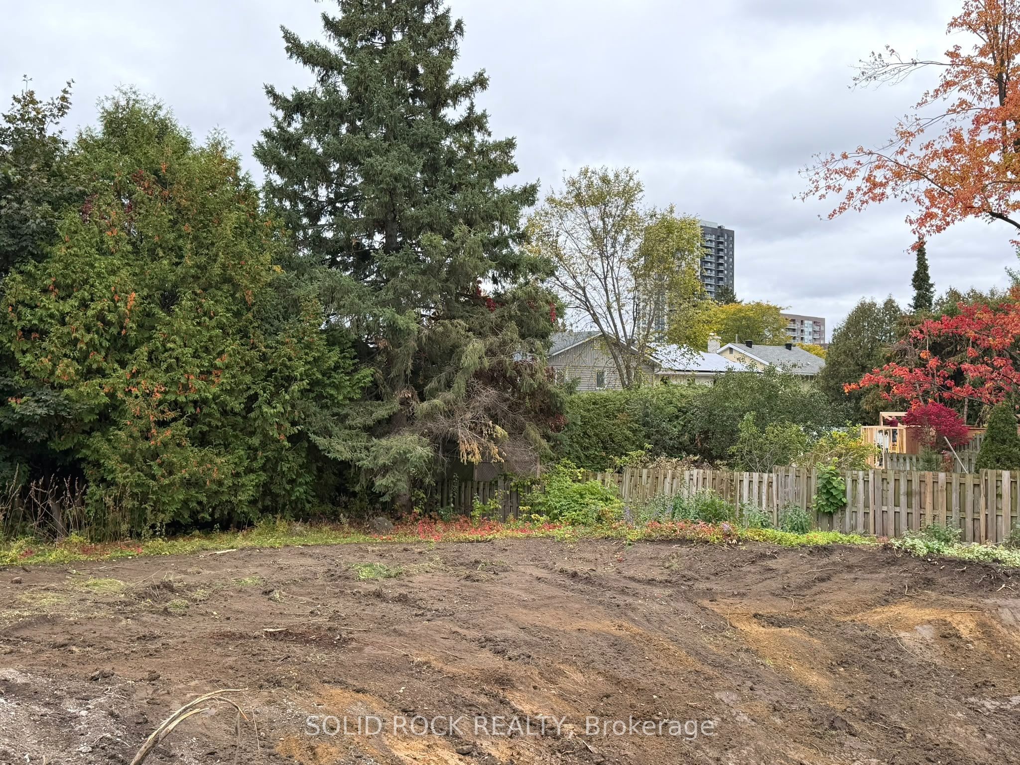 665 Broadview Avenue Property Photo 6