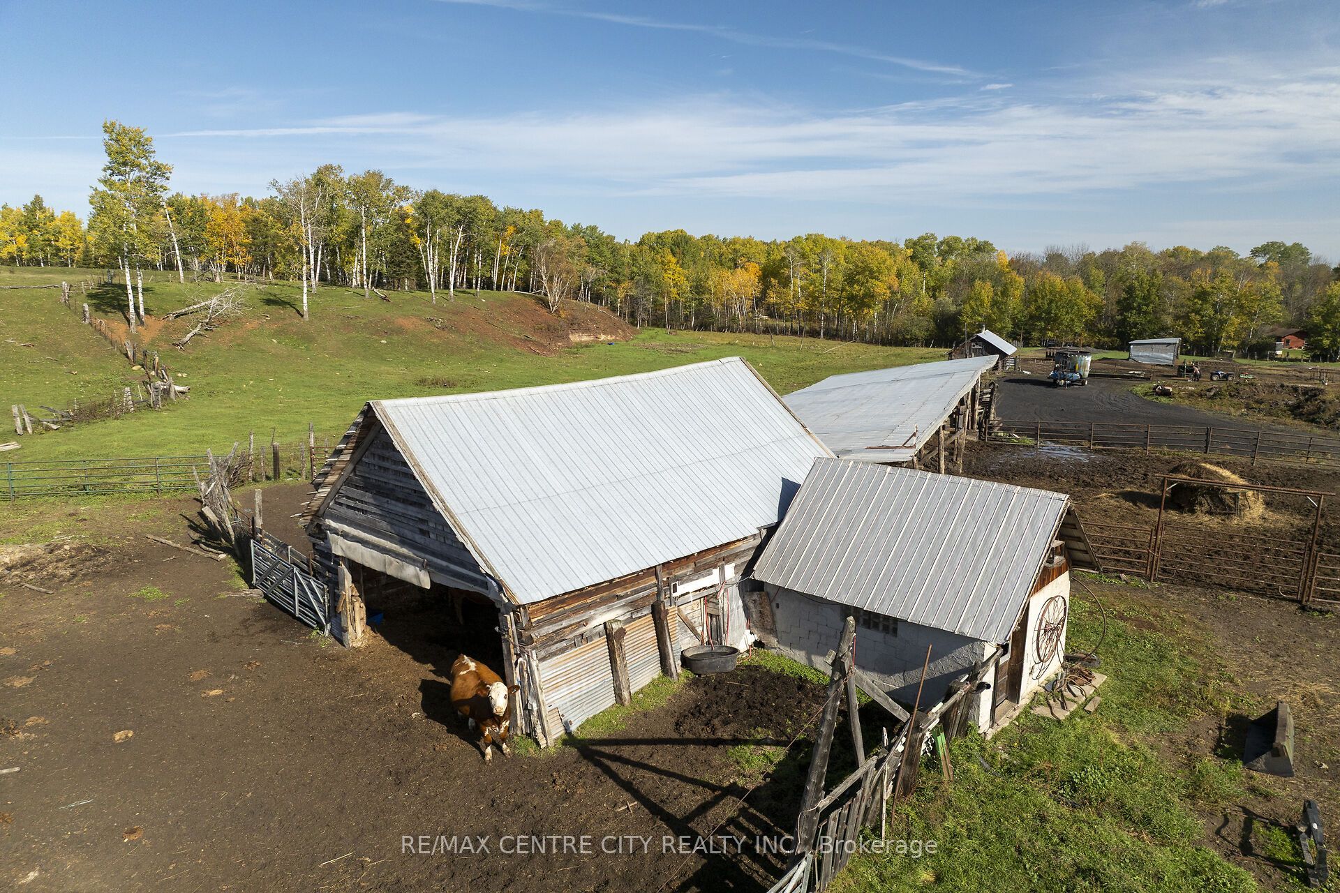 98 Whittaker Road Property Photo 24