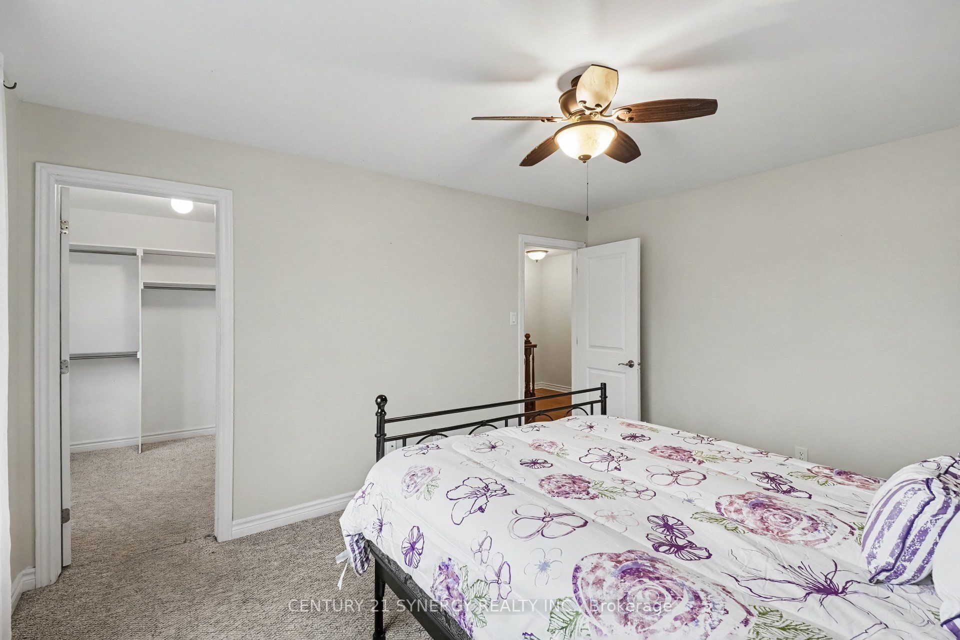 344 Colmar Street Property Photo 19