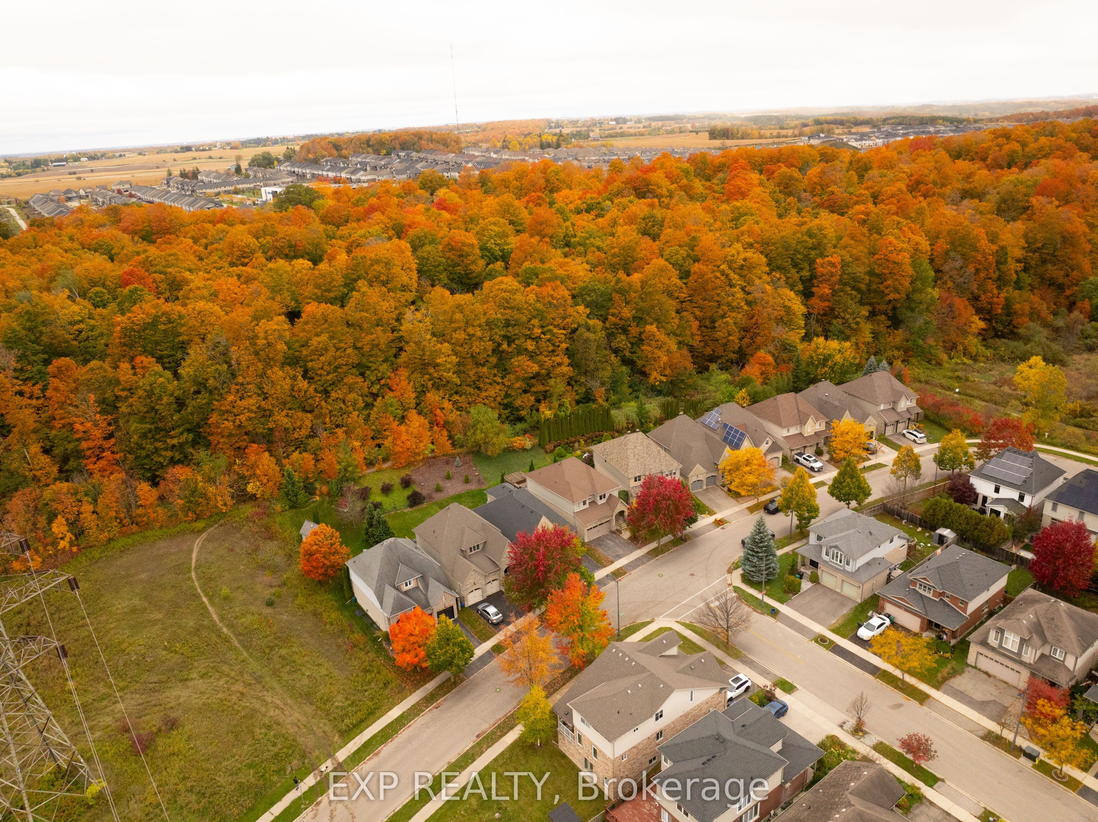 697 Rhine Fall Drive Property Photo 45