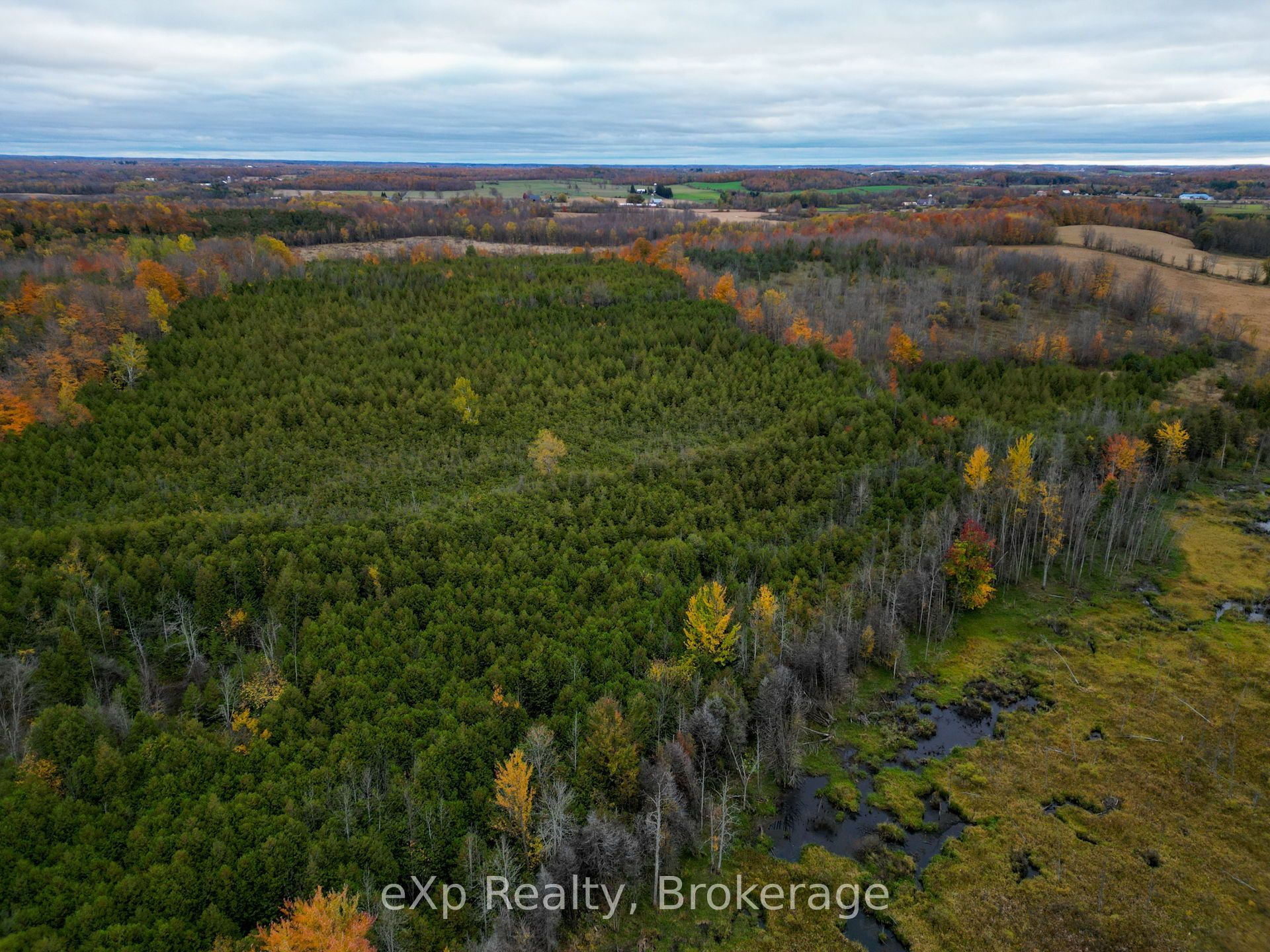 281140 Shouldice Block Road Property Photo 3