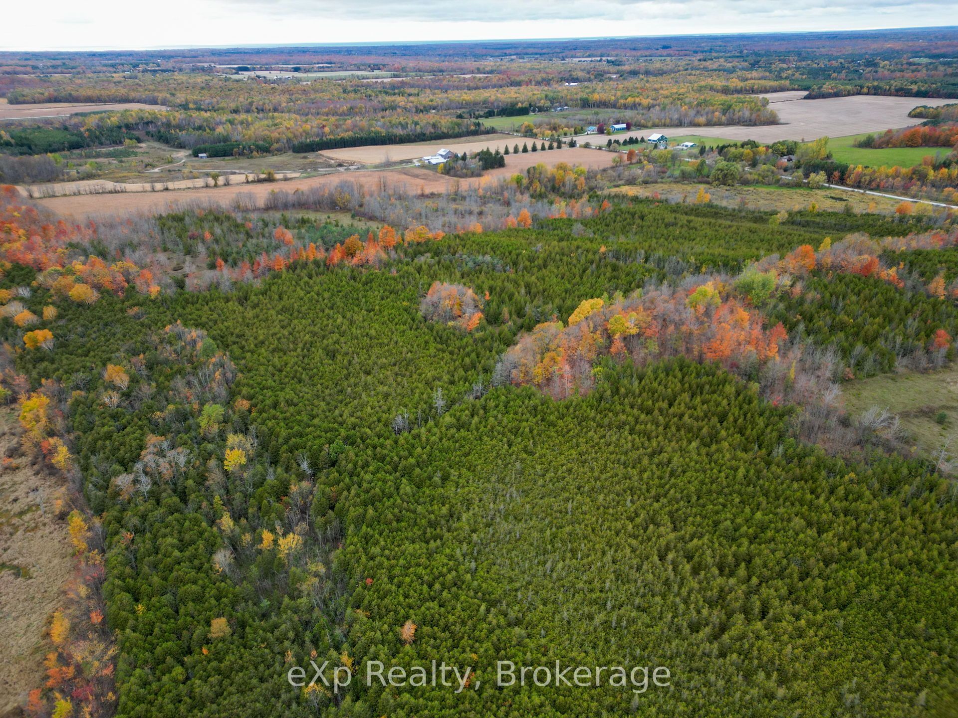 281140 Shouldice Block Road Property Photo 5
