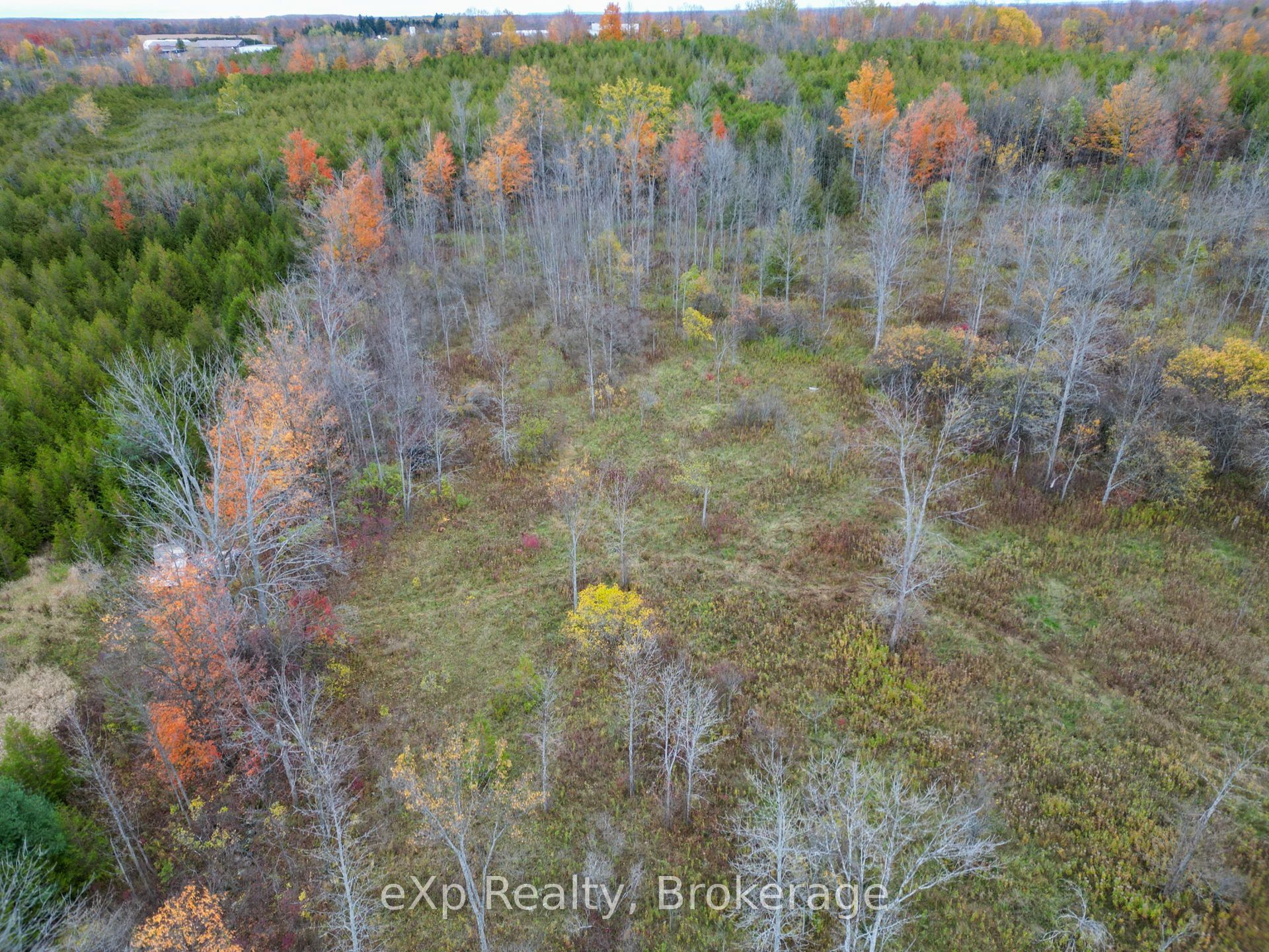 281140 Shouldice Block Road Property Photo 9