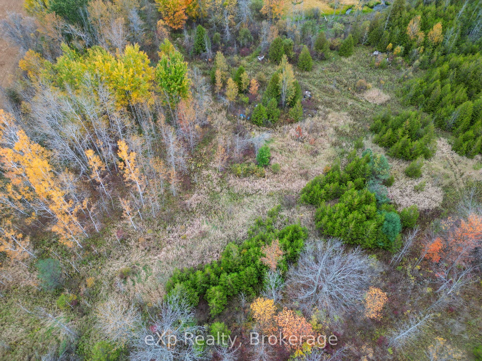281140 Shouldice Block Road Property Photo 10