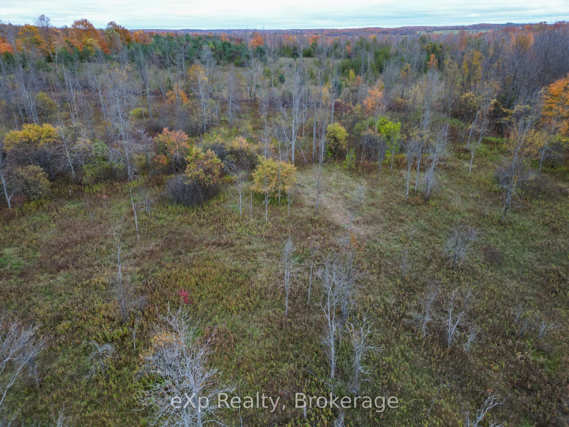 281140 Shouldice Block Road Property Photo 14