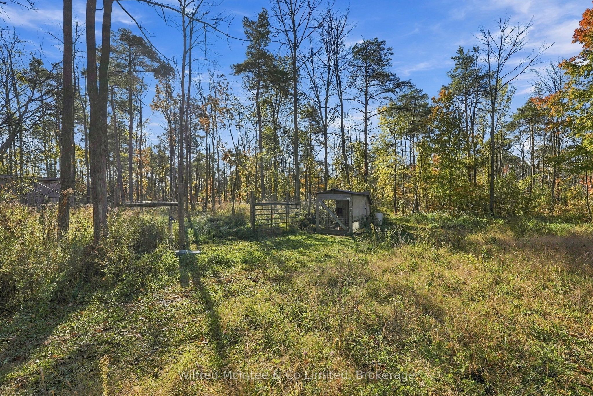 421560 Concession 6 Ndr Property Photo 10