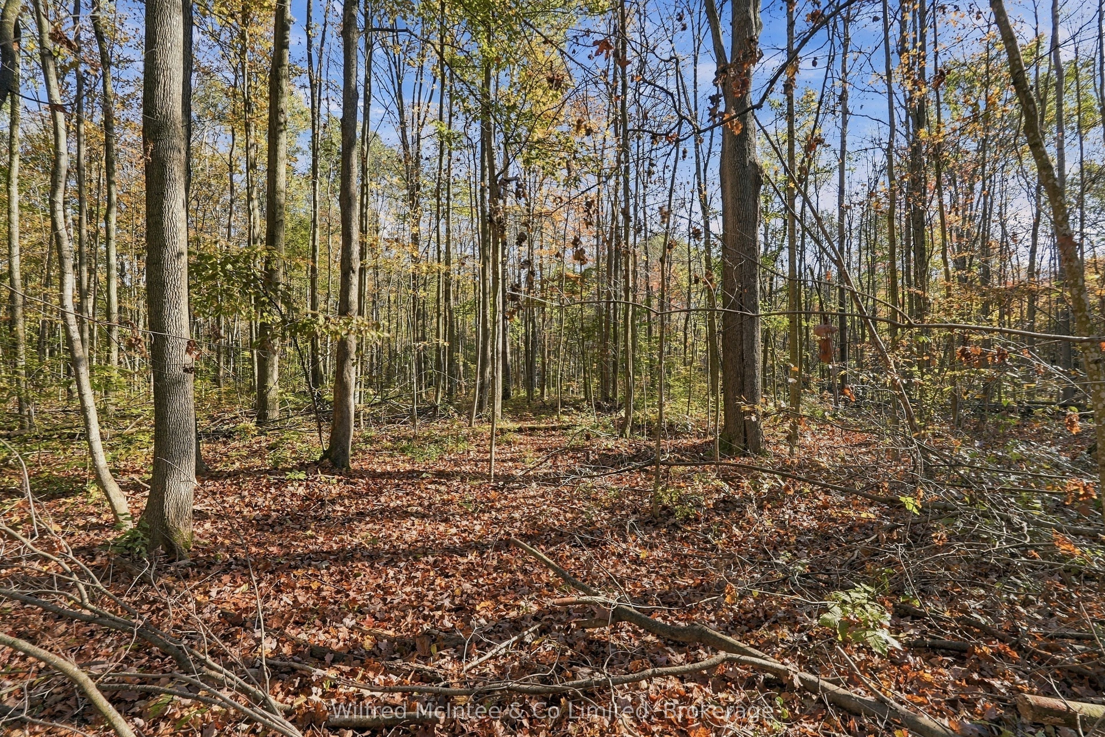 421560 Concession 6 Ndr Property Photo 13