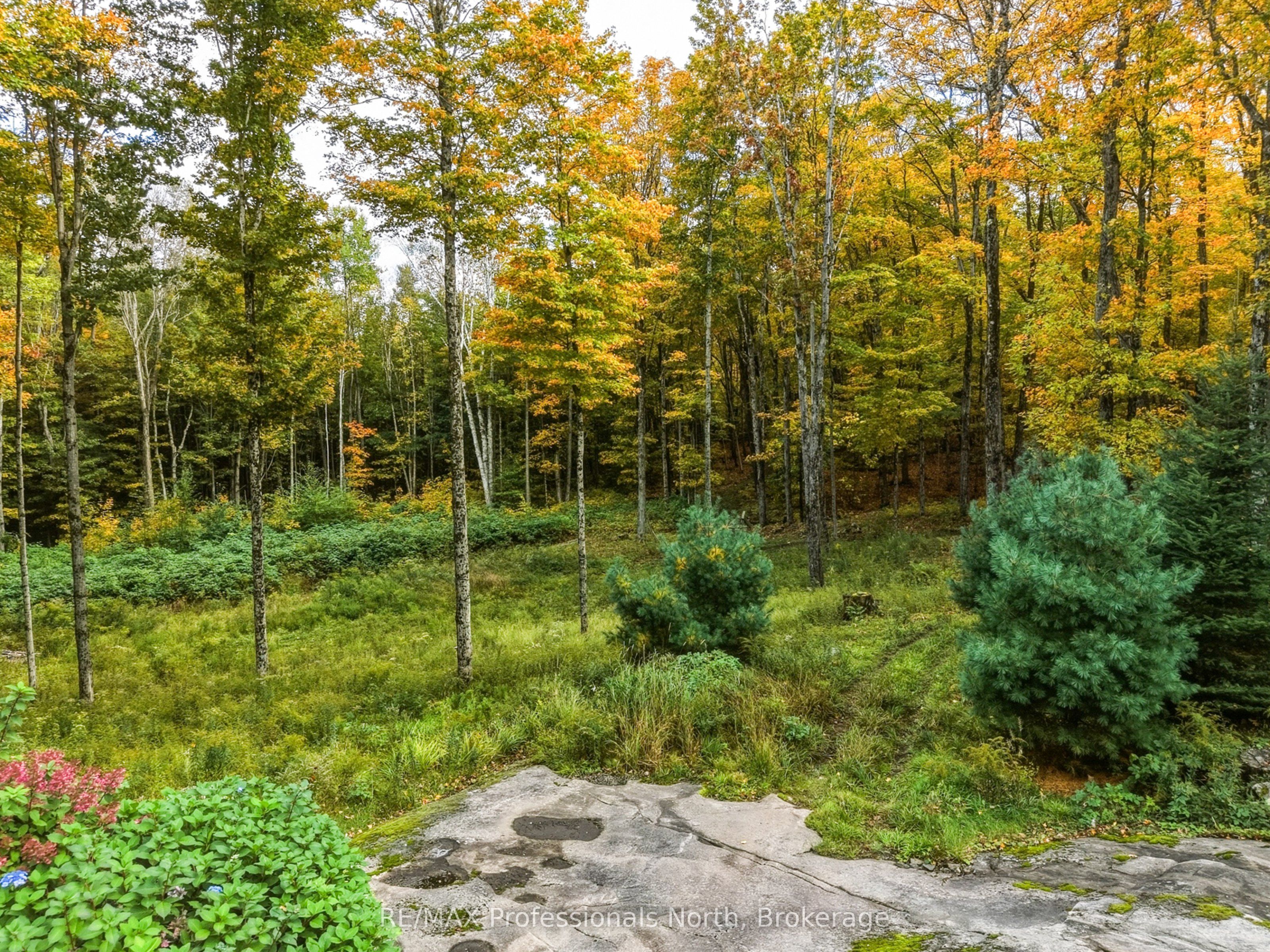 1266 North Shore Road Property Photo 2