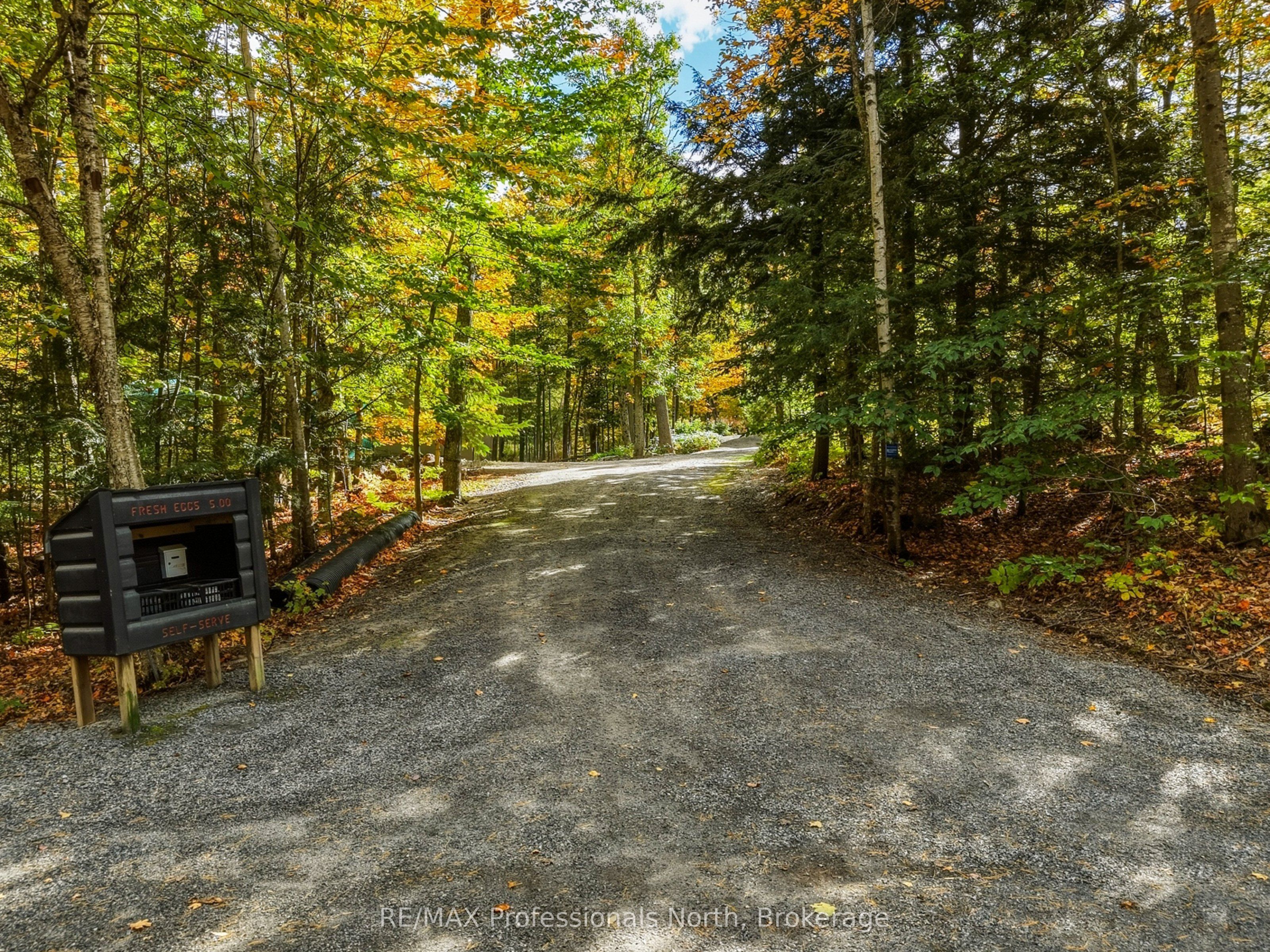 1266 North Shore Road Property Photo 3