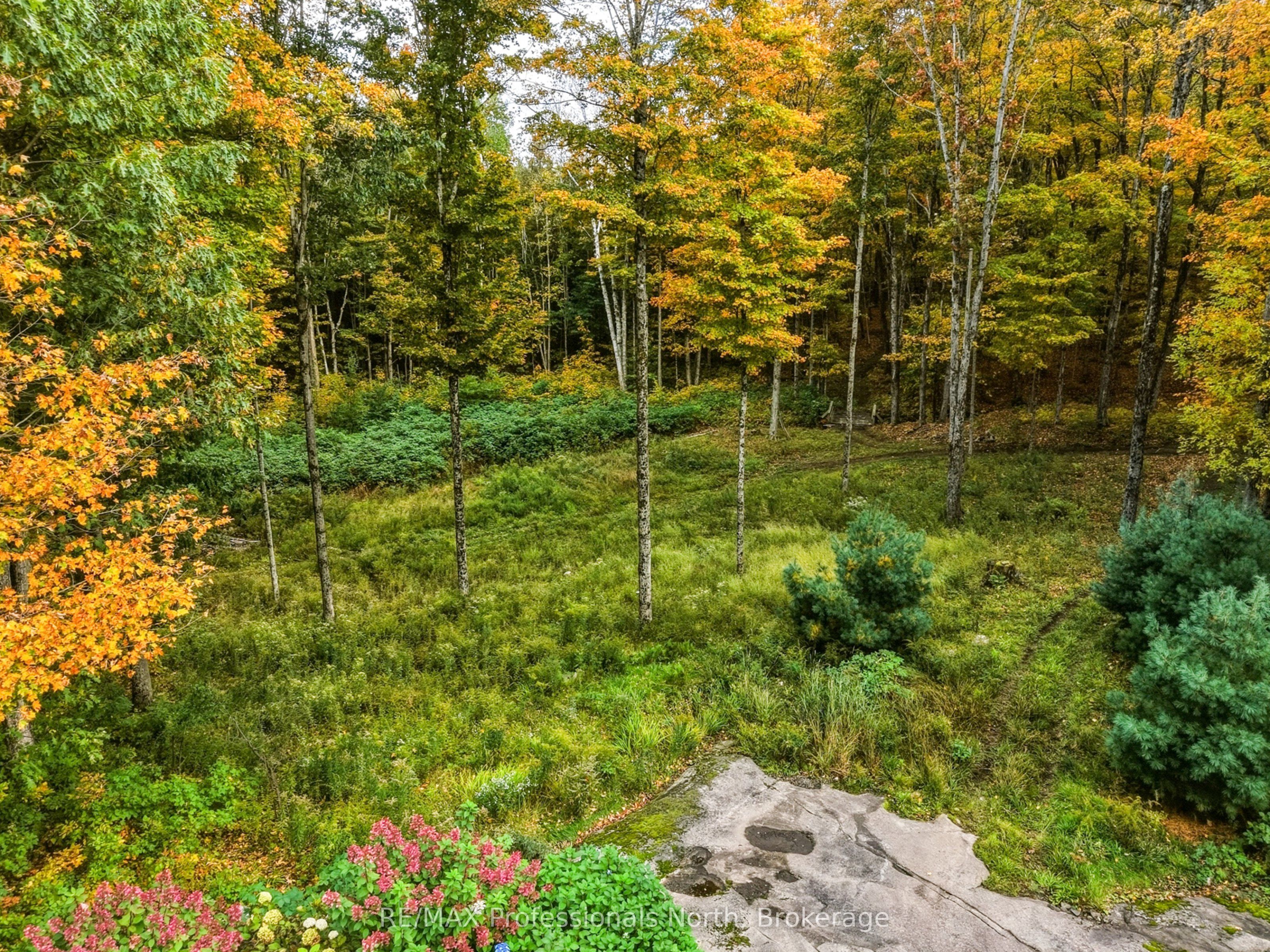 1266 North Shore Road Property Photo 36