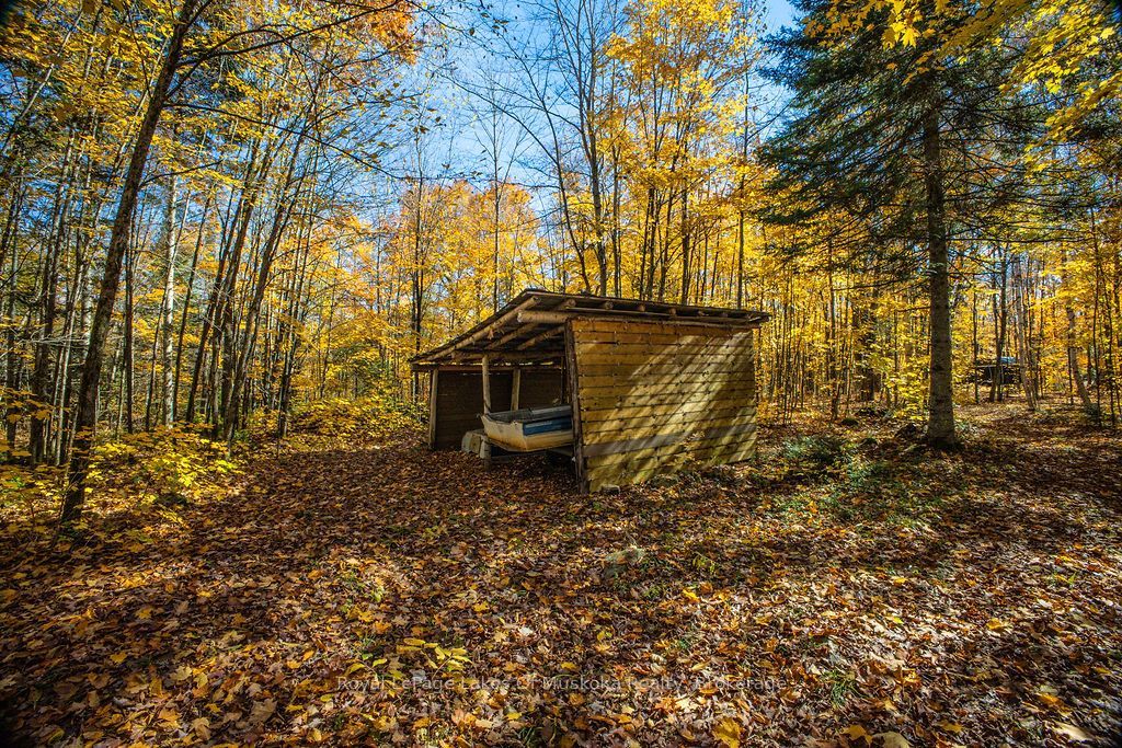0 Lakeshore Road Property Photo 7