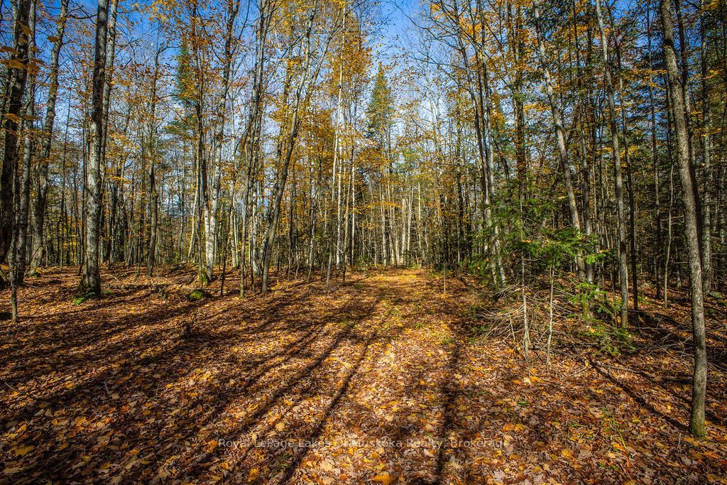 0 Lakeshore Road Property Photo 16