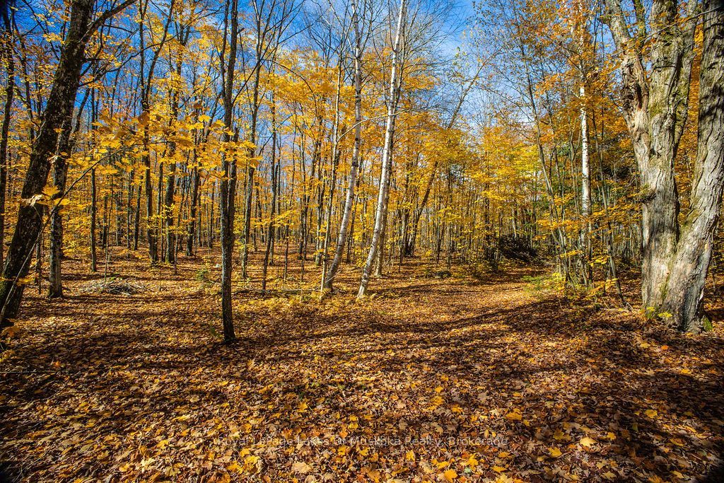 0 Lakeshore Road Property Photo 17