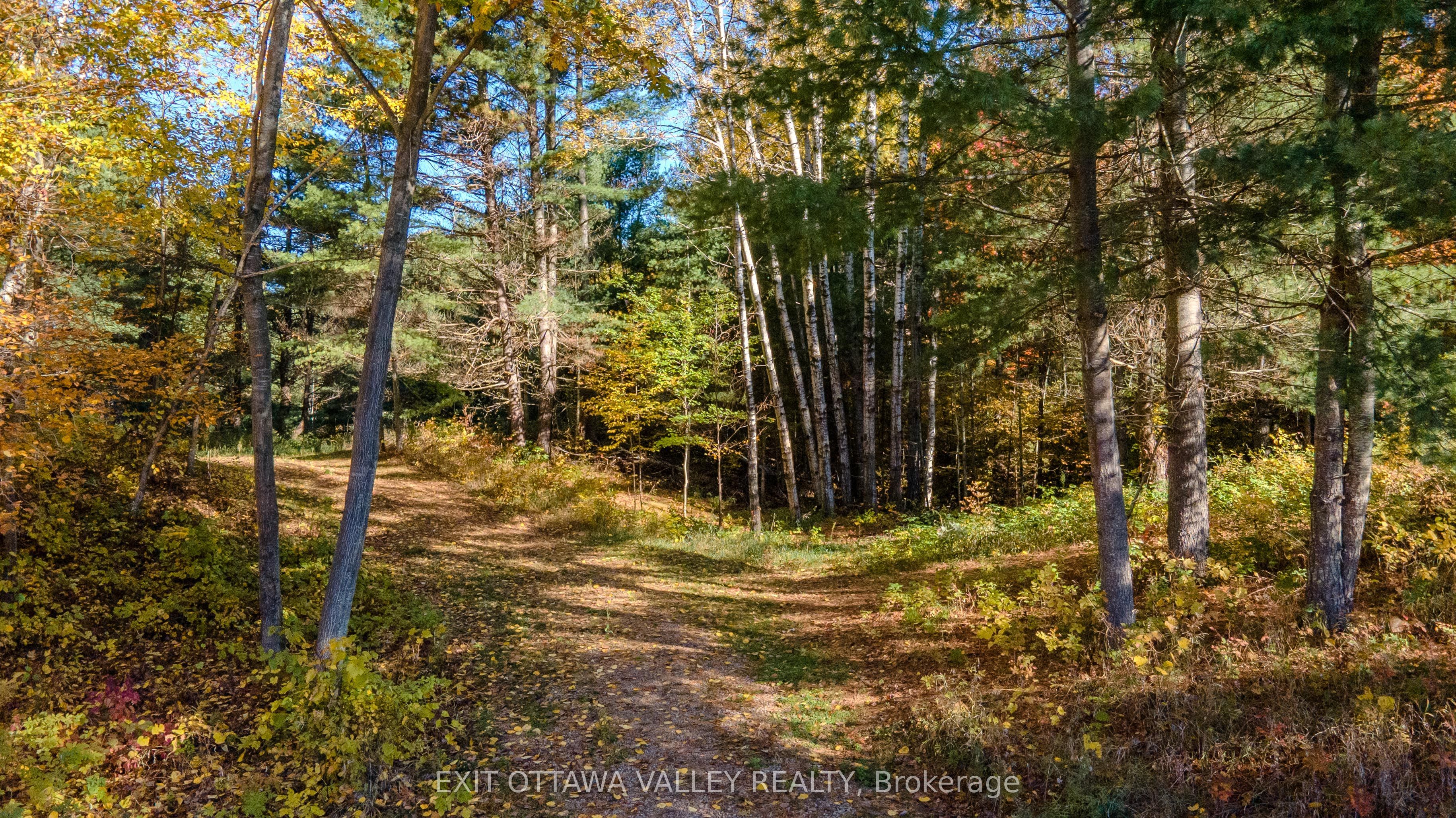 12894 Highway 60 Highway Property Photo 8