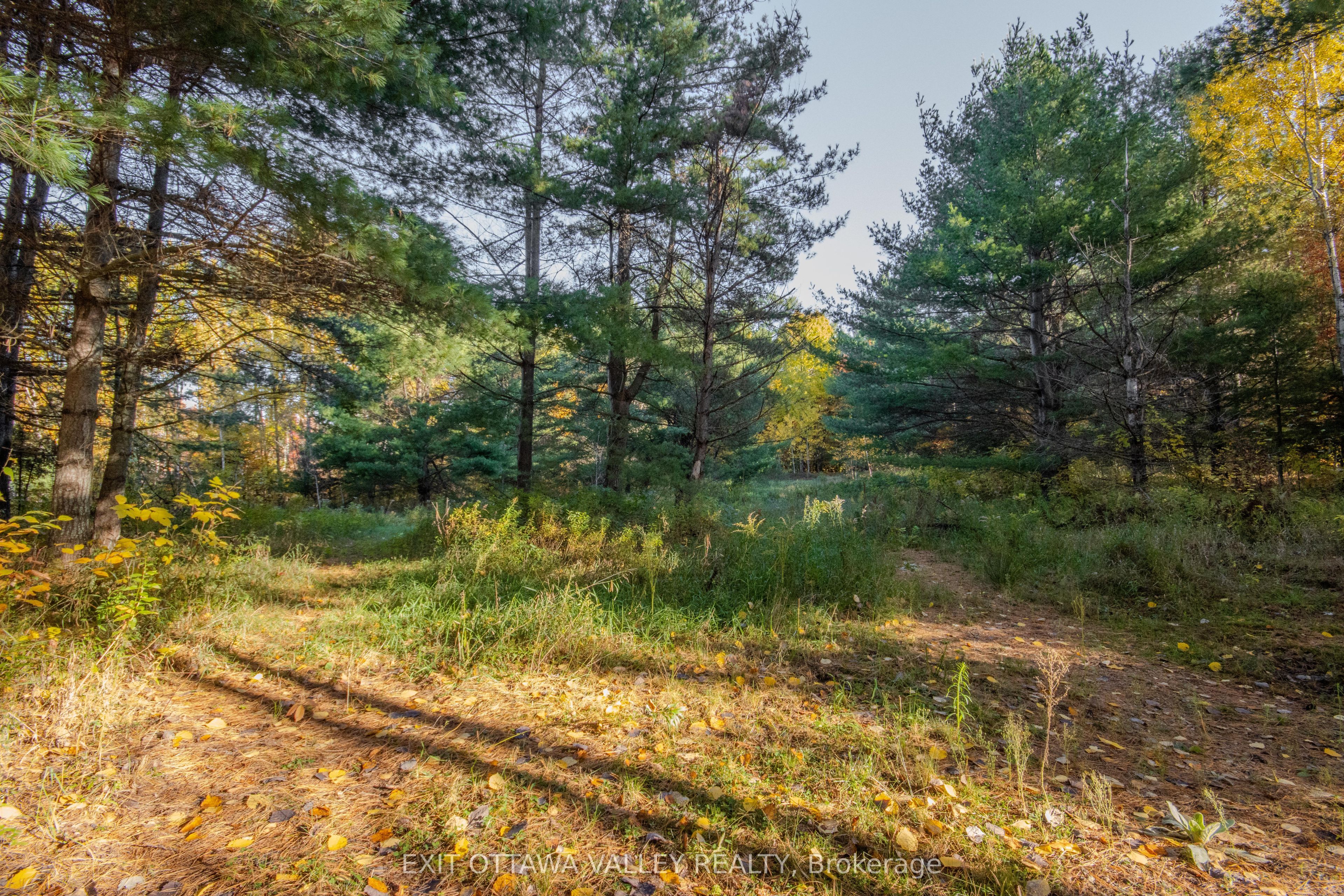 12894 Highway 60 Highway Property Photo 32