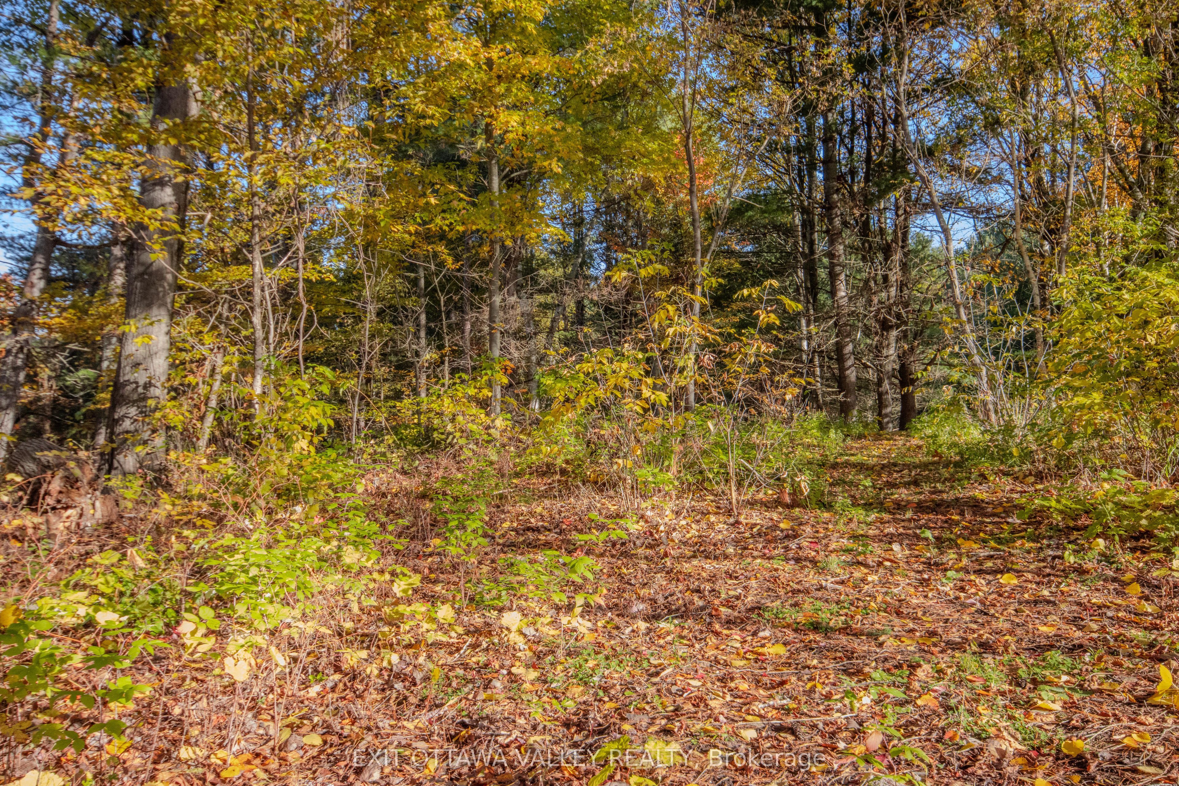 12894 Highway 60 Highway Property Photo 34