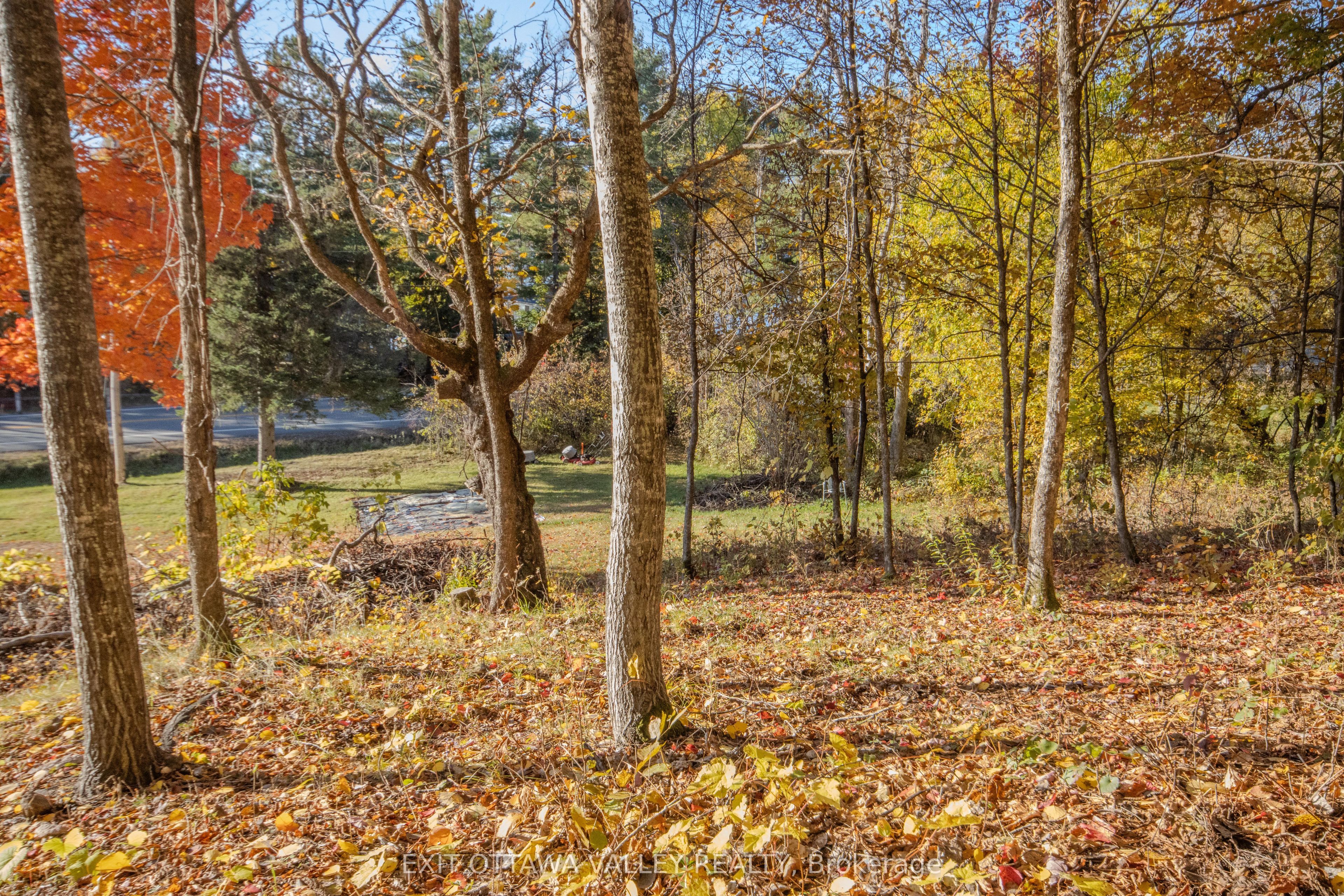12894 Highway 60 Highway Property Photo 35