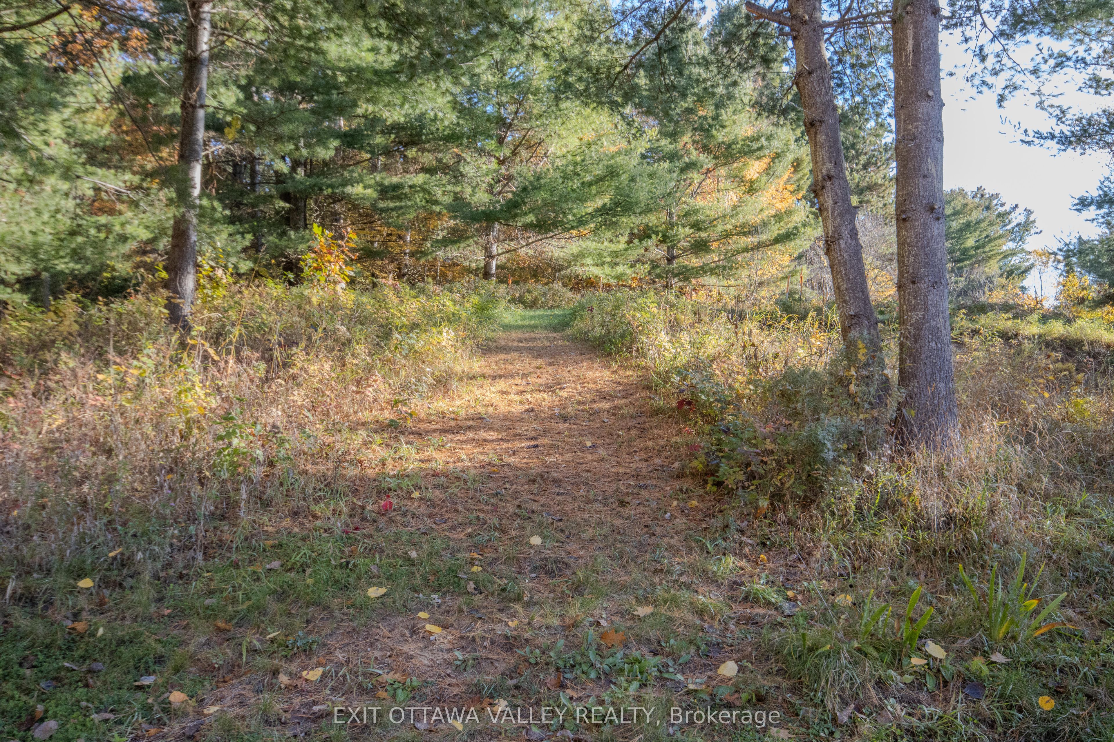12894 Highway 60 Highway Property Photo 46