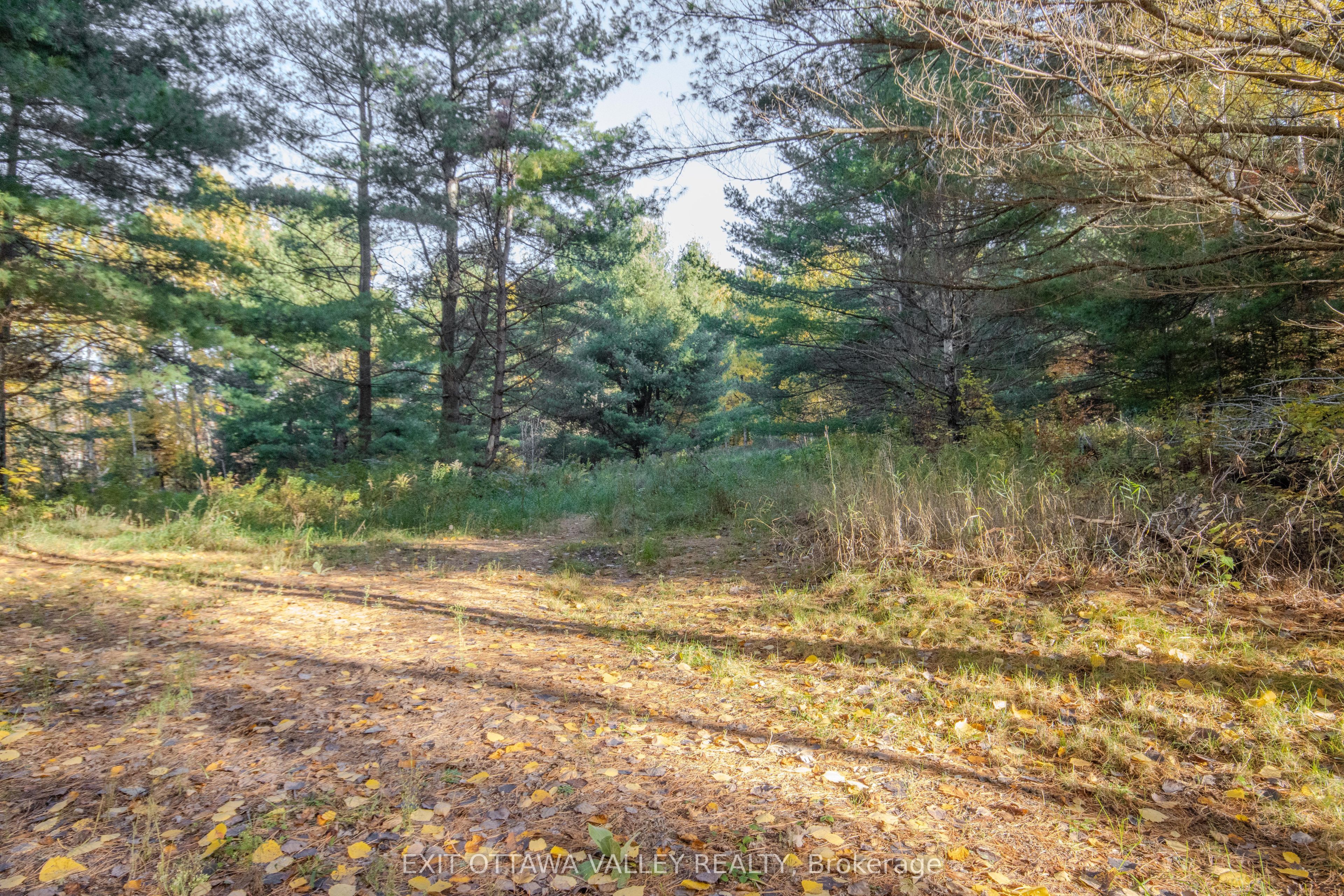 12894 Highway 60 Highway Property Photo 48