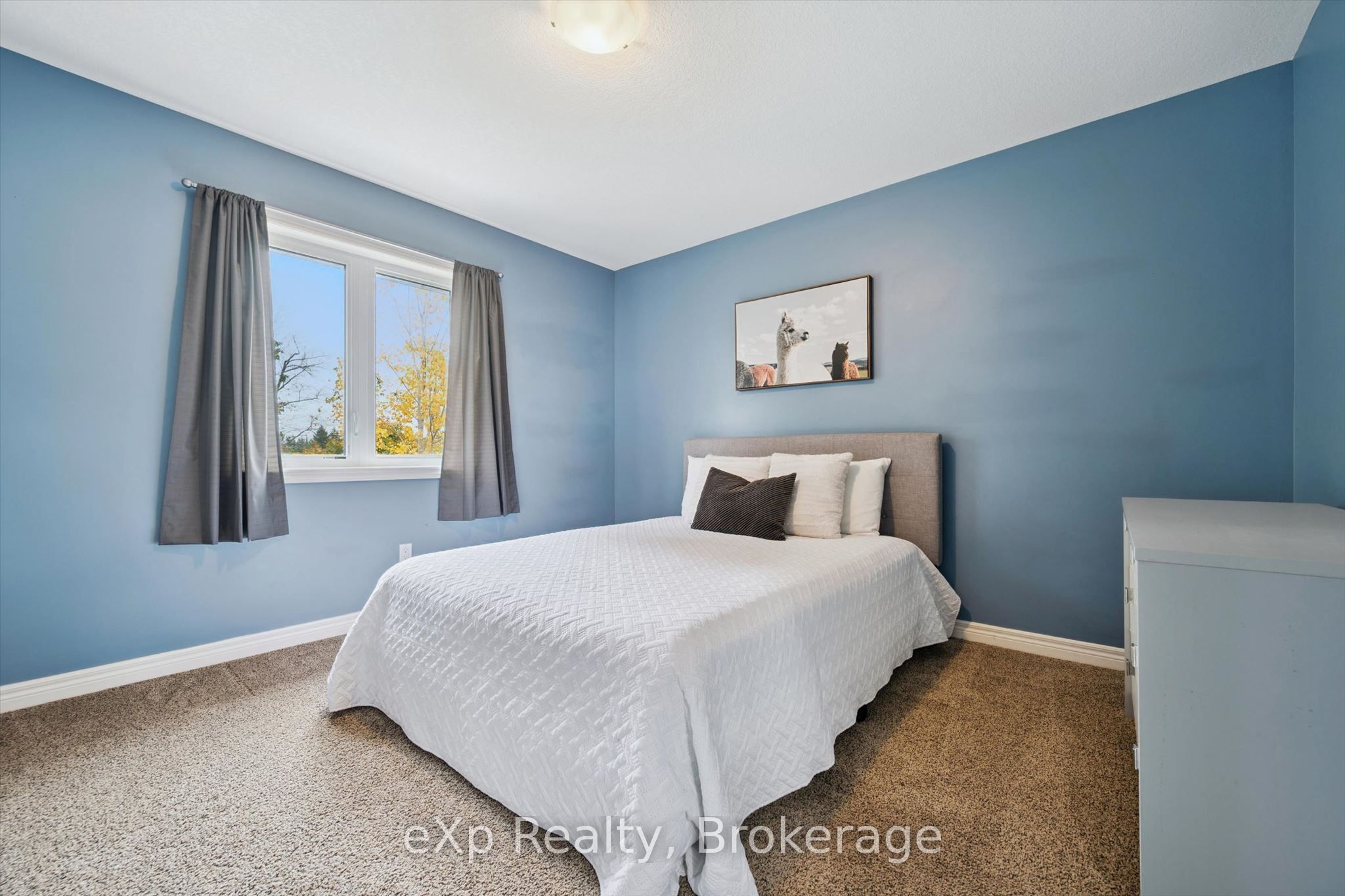 41 Stumpf Street Property Photo 29