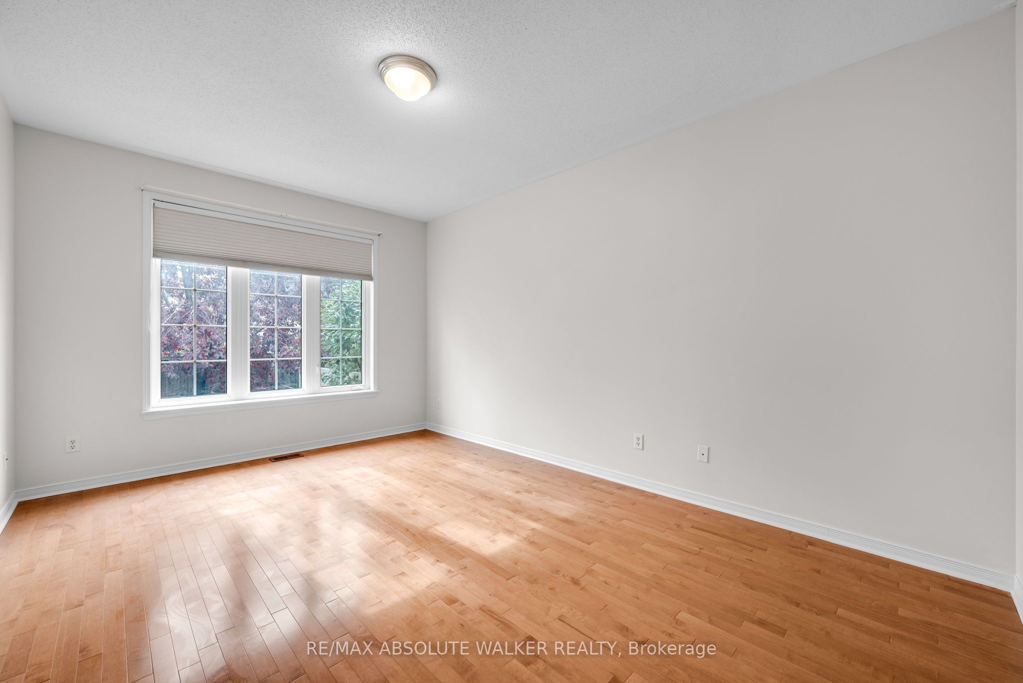 20 Sawchuk Terrace Property Photo 17