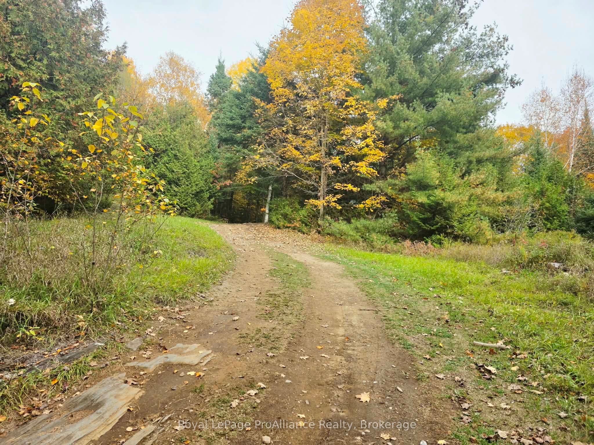 1883 South Road Property Photo 7