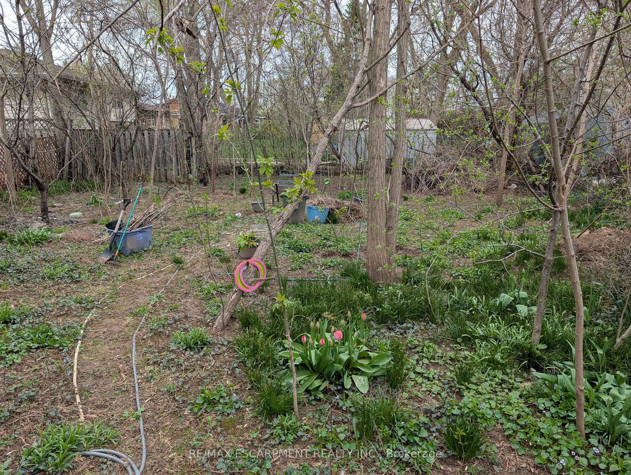 115 King Street E Property Photo 17