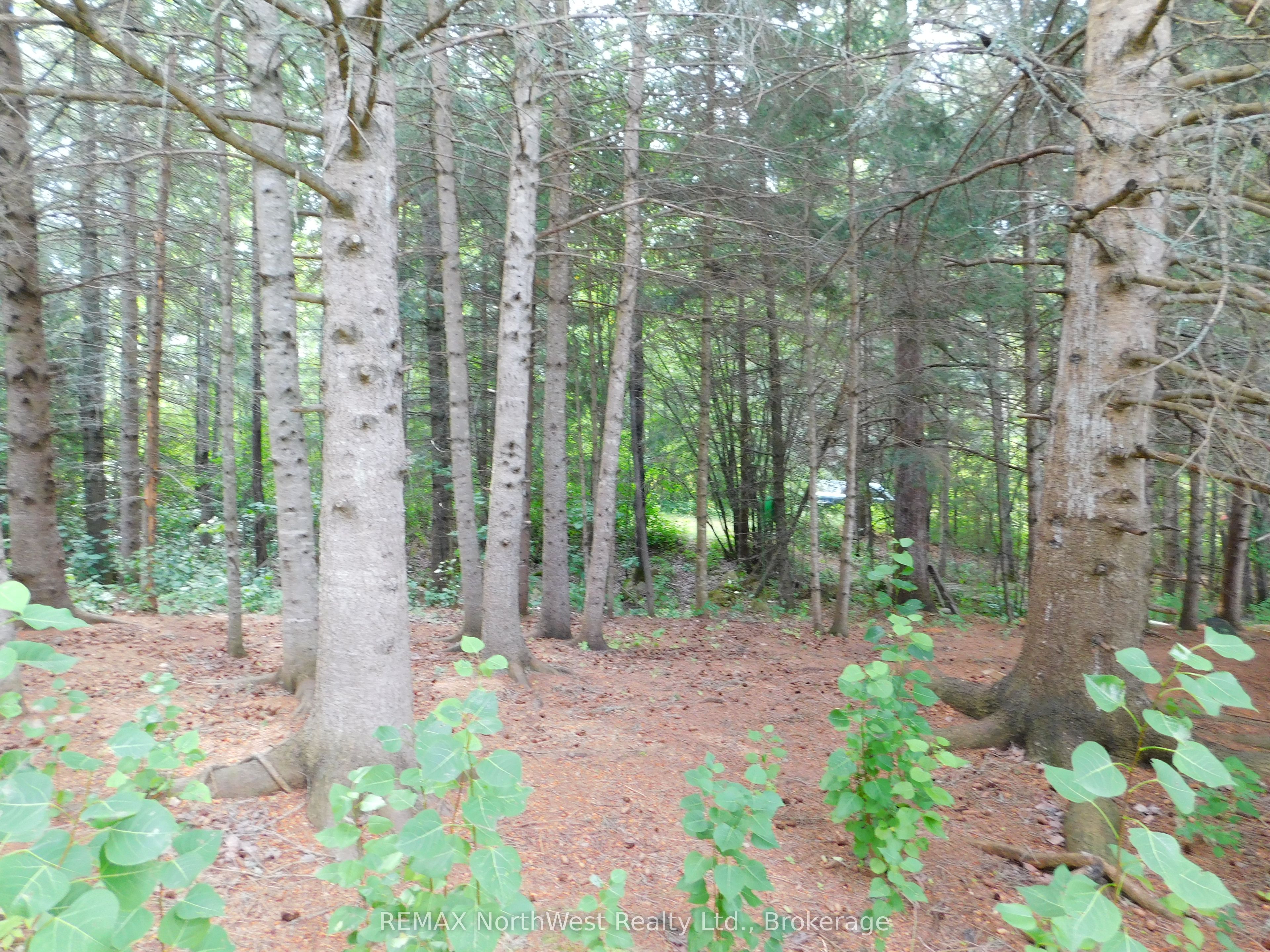 1373 609 Highway Property Photo 15