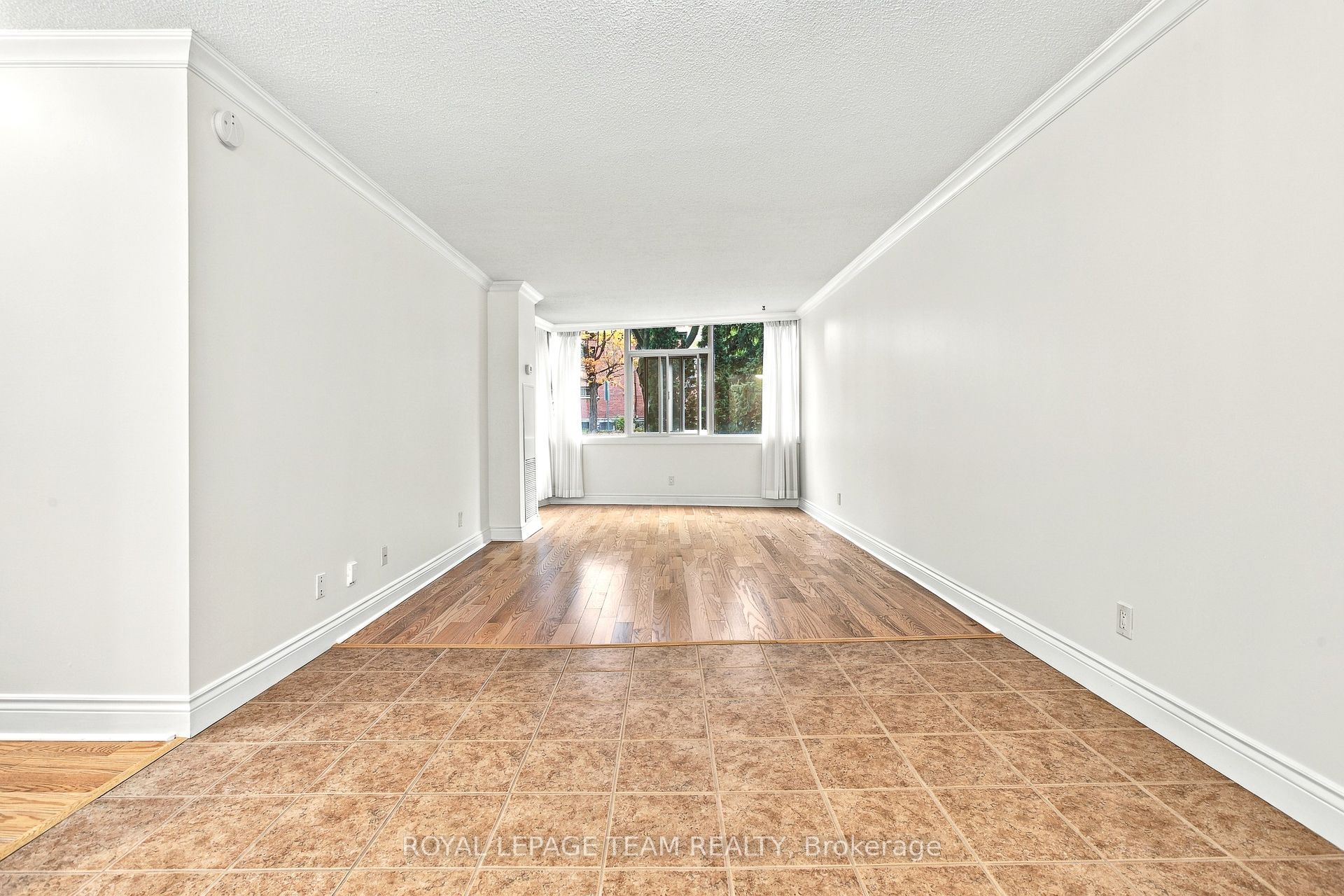 60 Mcleod Street 103 Property Photo 8
