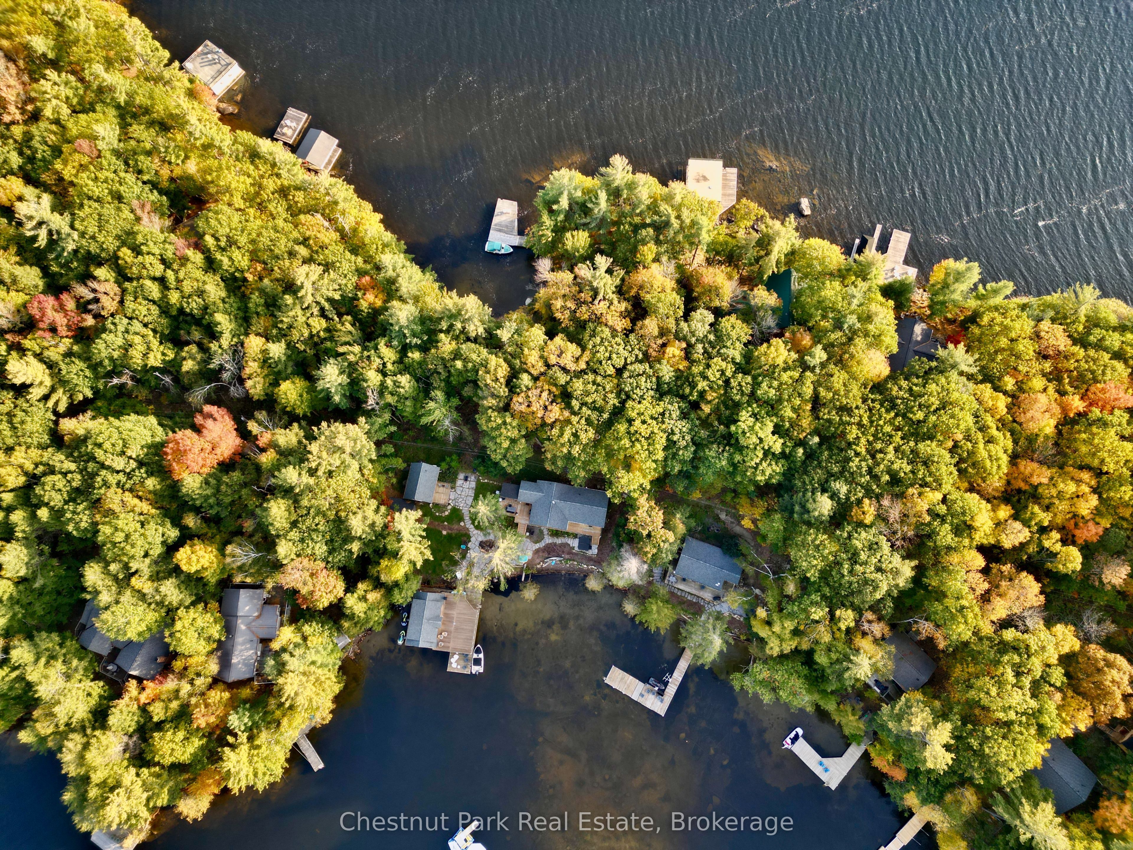 76 Birch Island Property Photo 5