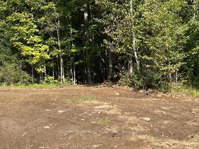 3275 Musclow-greenview Road Property Photo 14