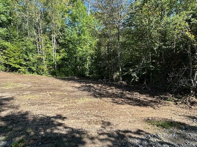 3275 Musclow-greenview Road Property Photo 15