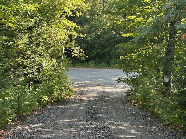 3275 Musclow-greenview Road Property Photo 16