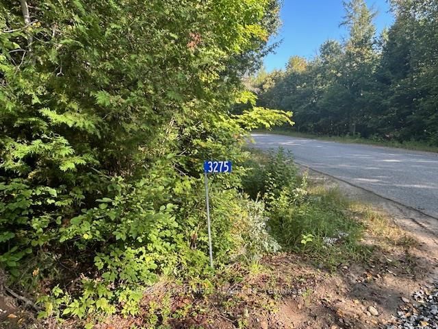 3275 Musclow-greenview Road Property Photo 17
