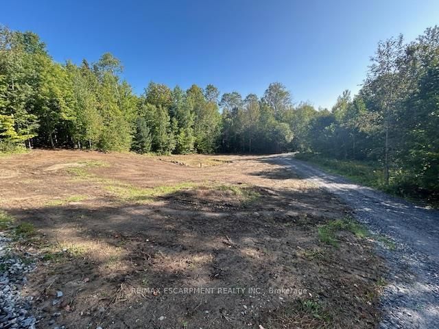 3275 Musclow-greenview Road Property Photo 21