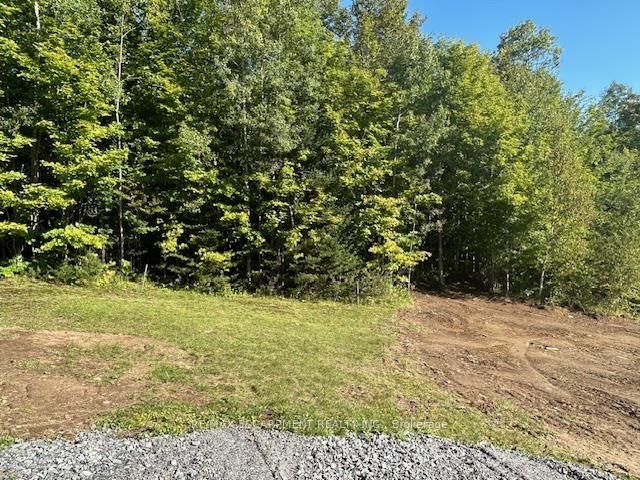 3275 Musclow-greenview Road Property Photo 24