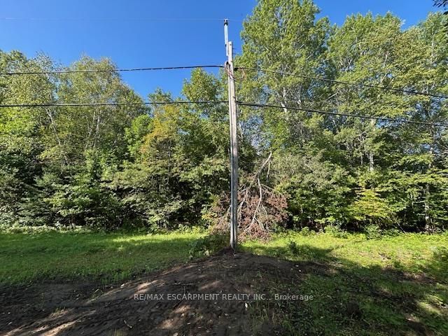3275 Musclow-greenview Road Property Photo 28