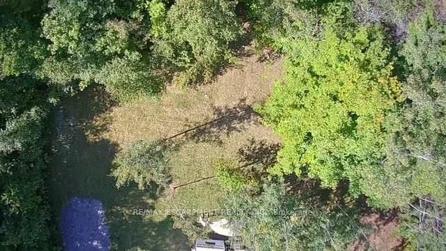 3275 Musclow-greenview Road Property Photo 34