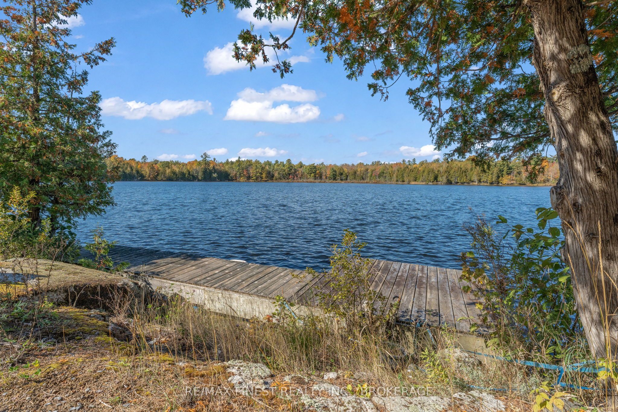 1283a Wilkinson Road Property Photo 4
