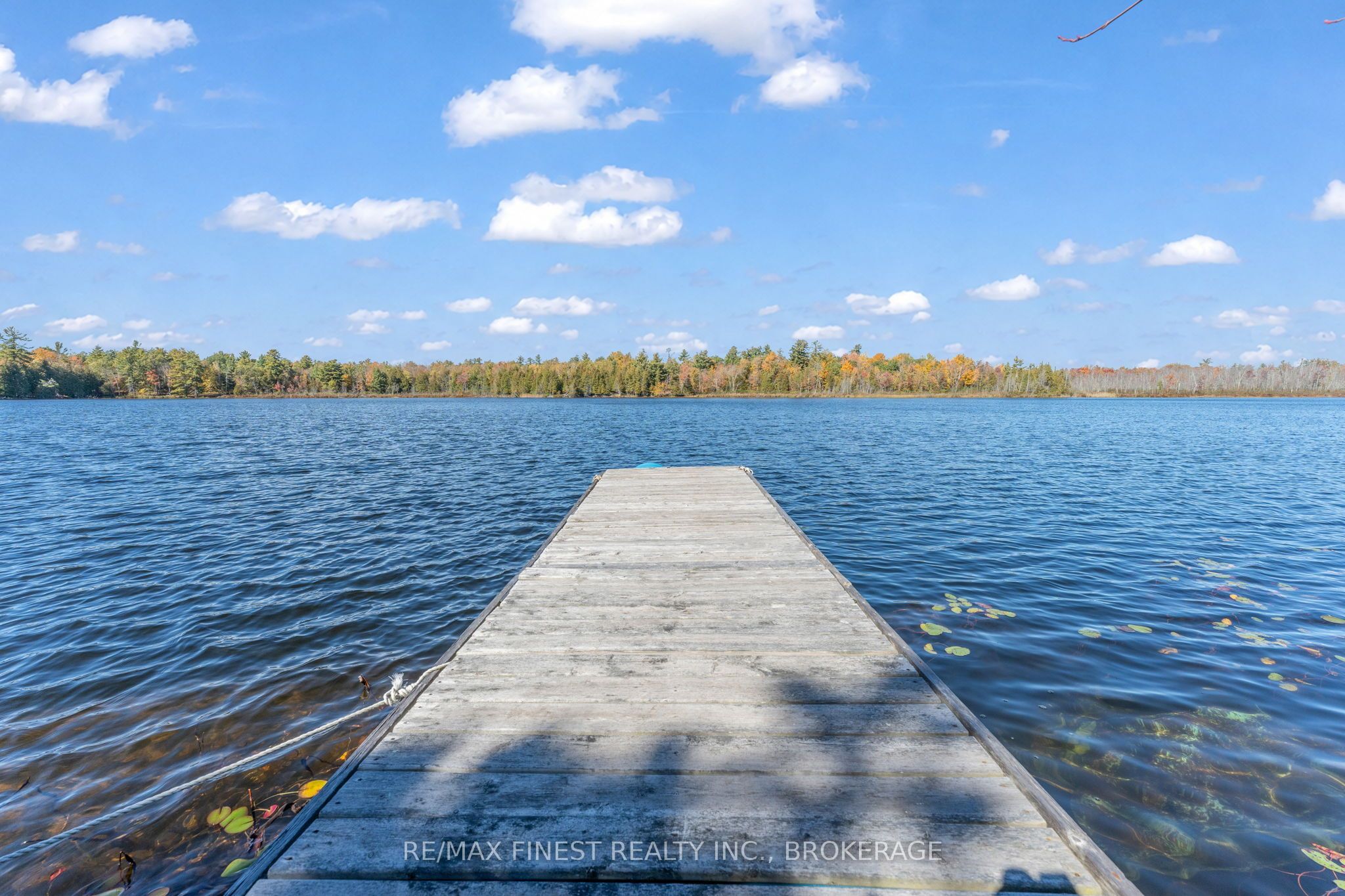 1283a Wilkinson Road Property Photo 5