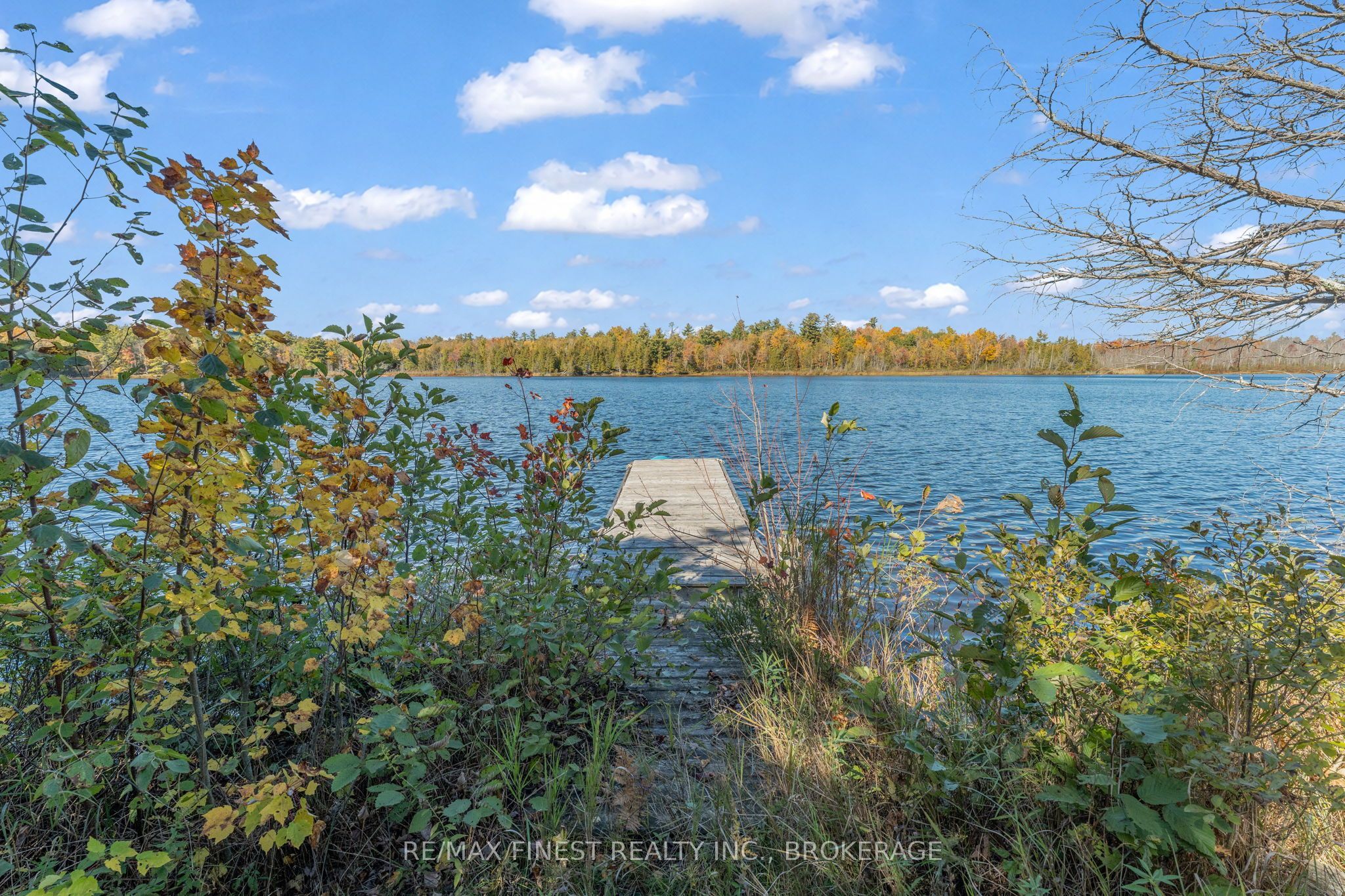 1283a Wilkinson Road Property Photo 6