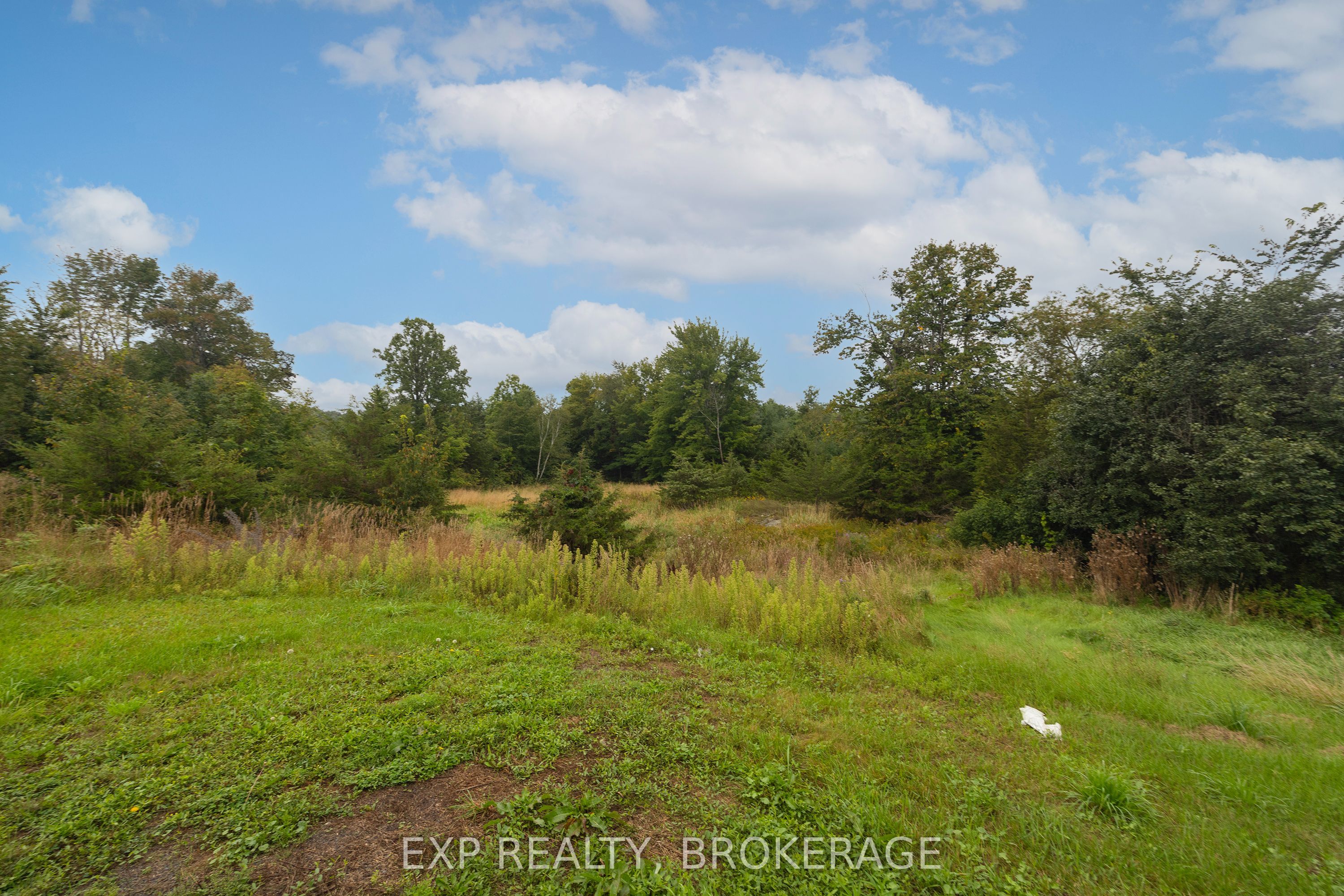 3697 Desert Lake Road Property Photo 23