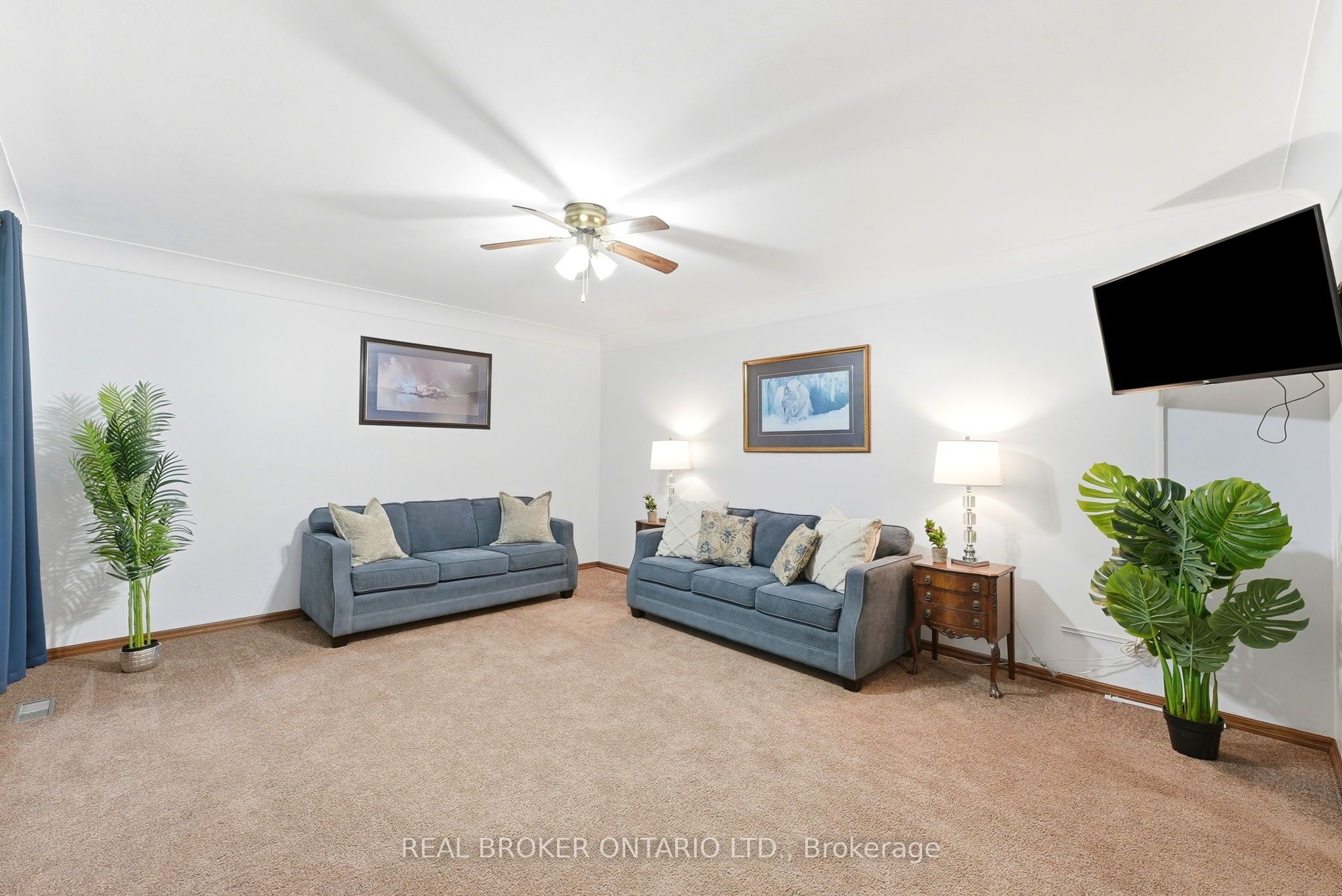 7 Edward Street Property Photo 4