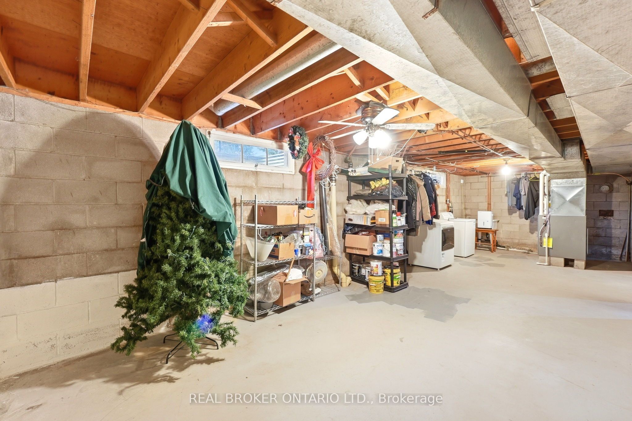 7 Edward Street Property Photo 30