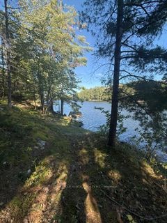 1141 Turtle Lake Road Property Photo 14