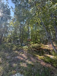 1141 Turtle Lake Road Property Photo 16