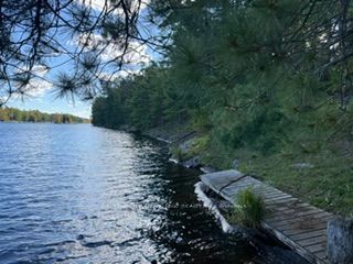 1141 Turtle Lake Road Property Photo 19