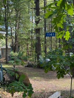 1141 Turtle Lake Road Property Photo 21